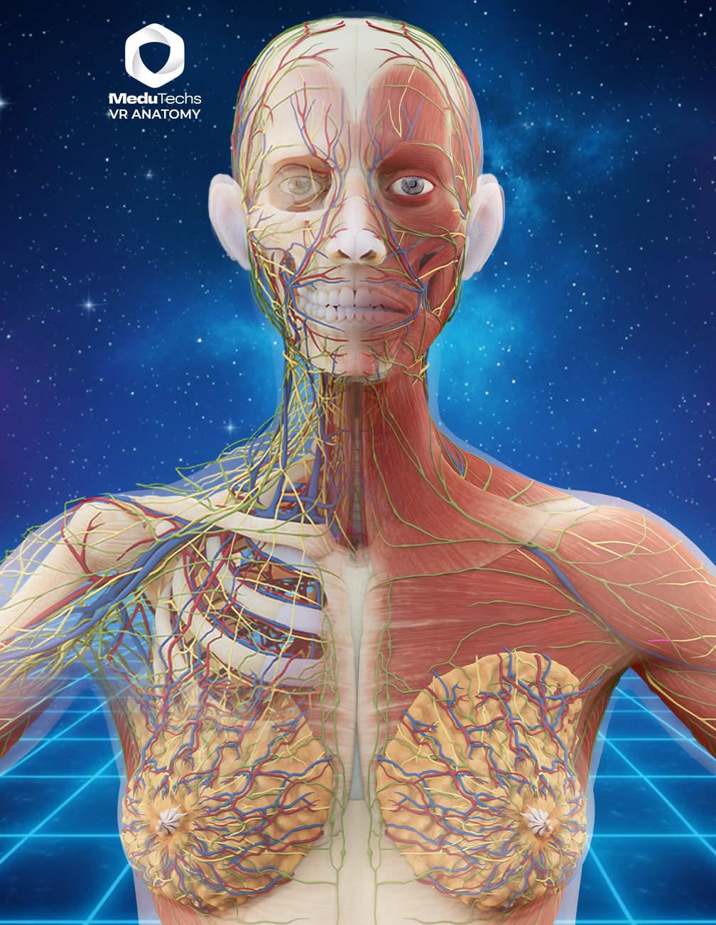 MeduTechs VR Anatomy